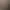 Foto Den Toog