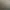 Foto bij de tekst