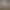 Foto bij de tekst