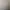 Foto bij de tekst